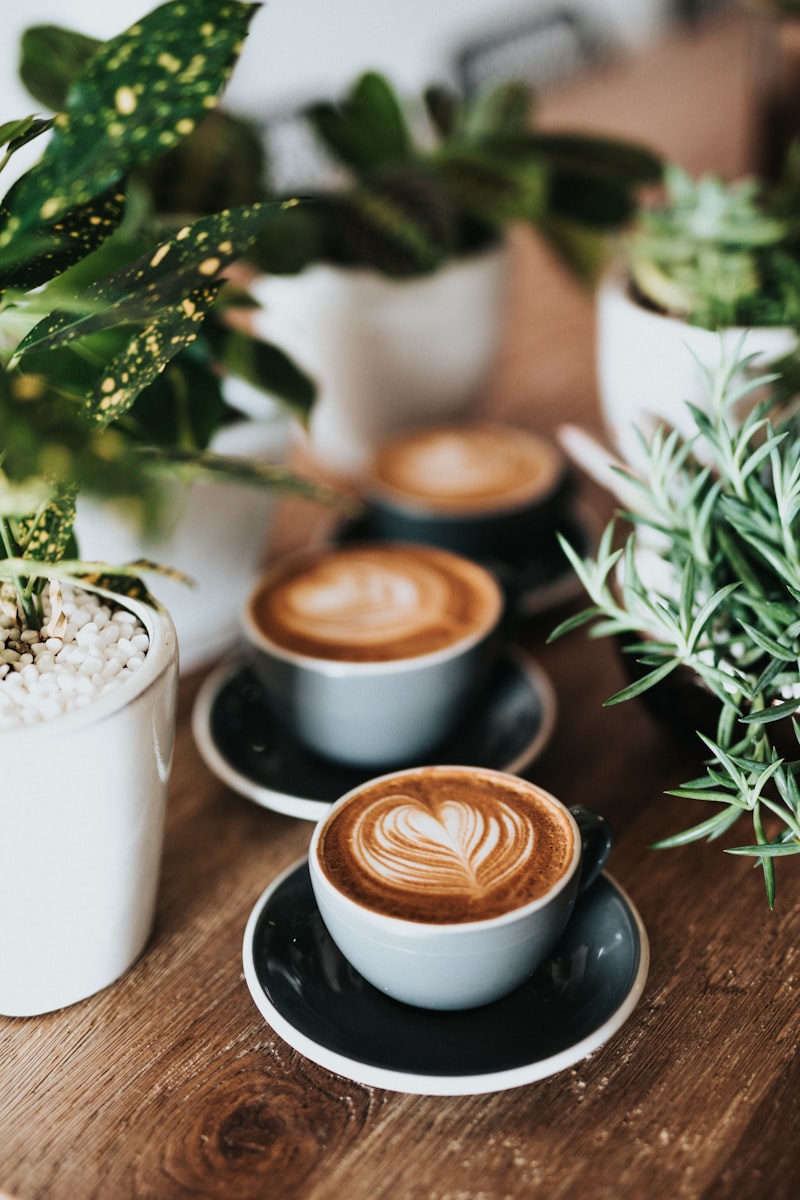 Café Mobile dans un Coffre : 2 500€/mois sans Loyer ni Local